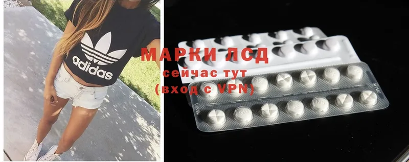 как найти закладки  Новый Оскол  Лсд 25 экстази ecstasy 